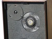 76882_0.jpg