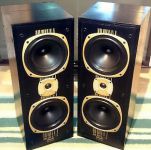 paire d'enceintes tannoy jupiter s